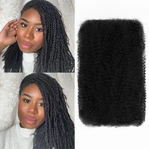 Afro Kinkys Bulk Human Hair for Braiding Afro Kinky-curly Human Hair Bulk for Twist Soft Kinkycurly Bundles for Mini Twists Braids or Micro Locs Extensions