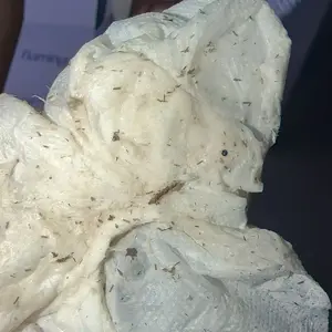 review image 3
