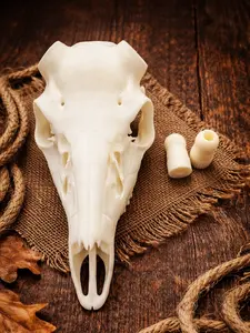 Whitetail Antler Mount European Mount for Decorative Use - Real Bone Replica - Real Antler mount