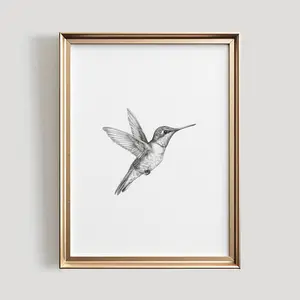 Hummingbird Sketch Bird Wall Art - Black and White Hummingbird Drawing #860 - Spring Home Decor