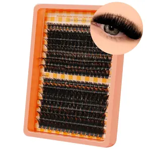 Single Cluster Cat Eye Effect False Eyelashes, D Curl Suitable for Beginners, Reusable Lightweight Portable DIY Lash Kit, Curly Lashes