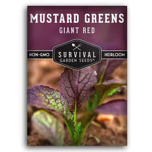 Giant Red Mustard Greens Seeds