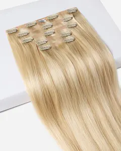 Crown® Clip In,  Light Warm Blonde with Golden Highlights | #2412