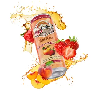 High Ground Elixir Strawberry Peach Adaptogenic Mushrooms Mood + Hydration Sparkling Drink