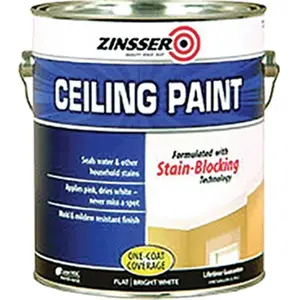 212 MAIN 260967 1 Gal White Ceiling Paint - Stain-Blocked, 1-Coat, Easy-Apply for Painting Projects (Car Washing & Maintenance Paint Care Use)