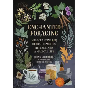 Enchanted Foraging by Ebony Gheorghe [Hardcover Book]