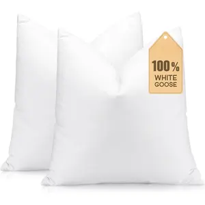 Set of 2 Down and  Throw Pillow Inserts 26x26 Soft Fluffy Pillow Inserts with  Down-Proof Cotton Cover, Decorative Square Cushion Inner for Sofa Couch Bed-White