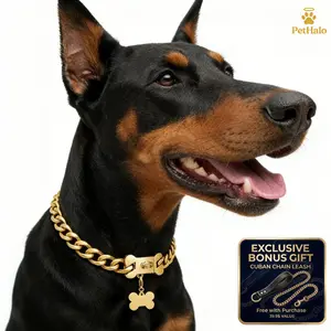 15mm 18K Gold Dog Collar with Bone Charm and Bonus Leash Cuban Link Chain Stainless Steel Secure Buckle for dogs (10-26 Inch)