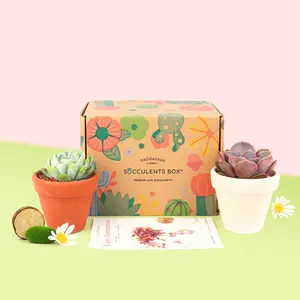 2 Succulents 2 Clay Pots/ Month | Subscription Boxes Auto renew