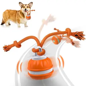 USB Rechargeable Motion Activate Dog Ball Automatic Rolling Interactive Toy for Puppy Small Dogs