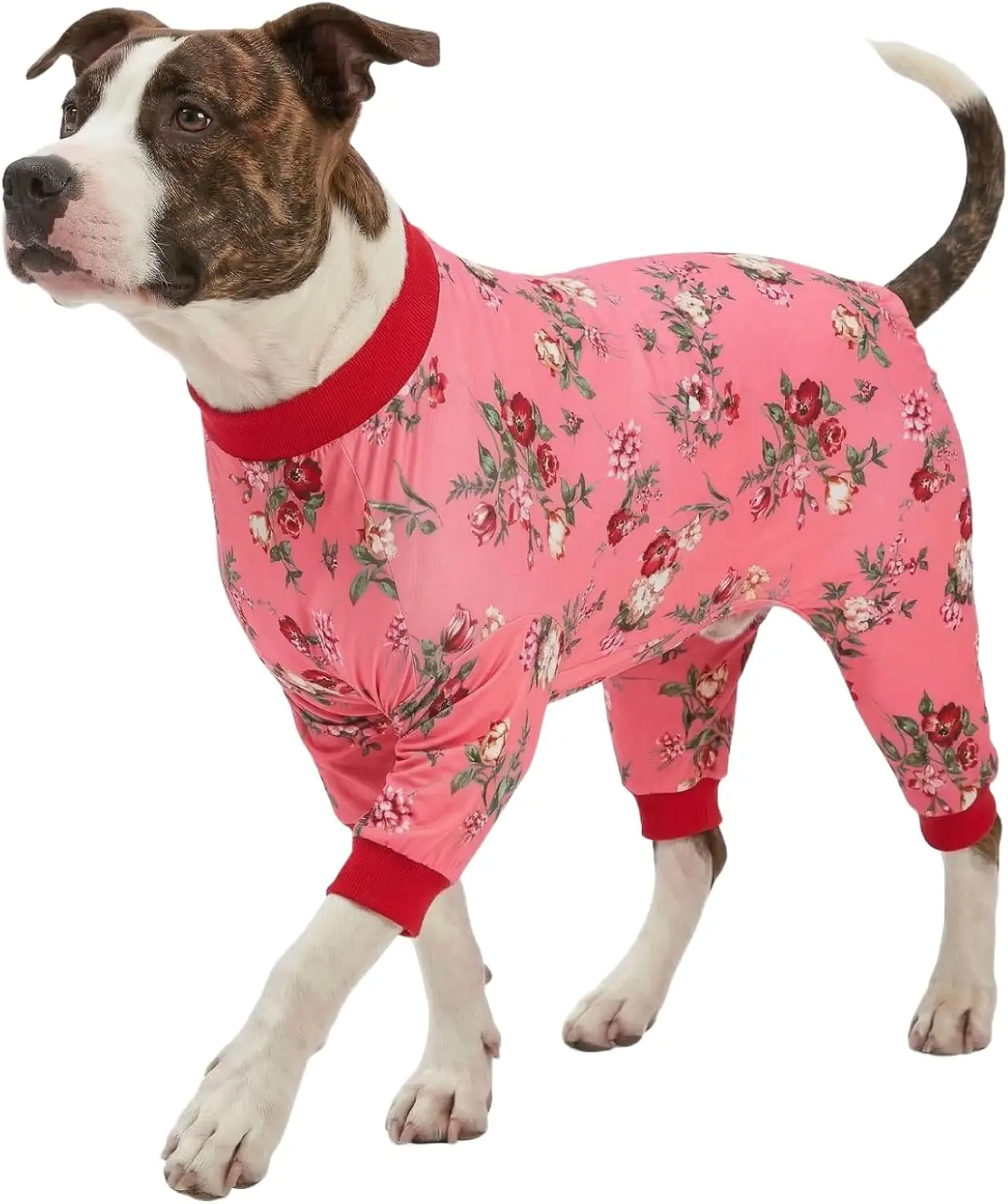 Full Body Suit for Large Dog, Dog Bodysuit for Large Dogs,Lightweight Stretchy Fabric,Hot Pink Roses and Orchids Print, Pet Uv Protection, Onesies for Dogs, Pajamas for Pitbulls,XL