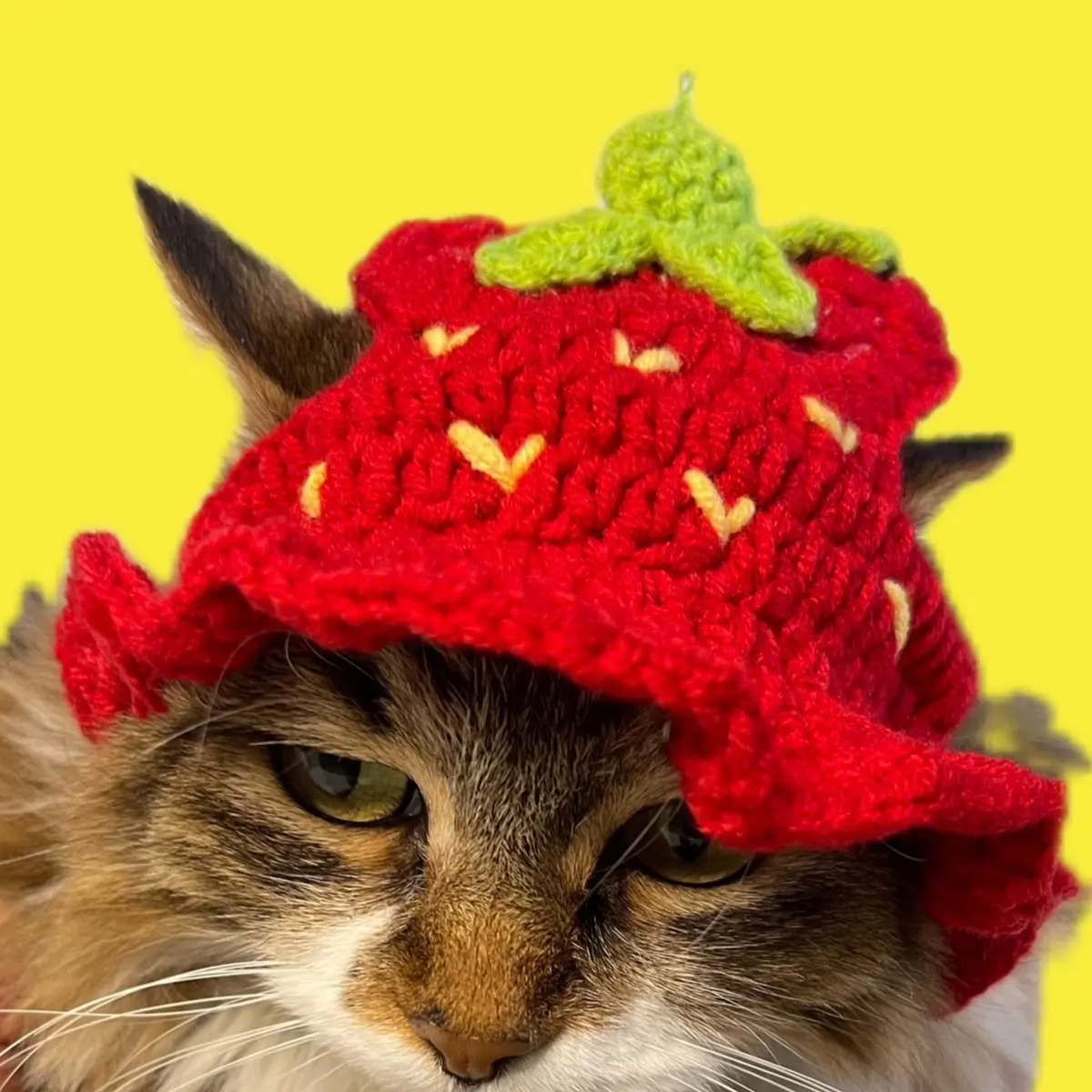 Strawberry cats and dogs crochet/ knitted hat for winter, autumn, summer , all seasons and holidays, Christmas, Easter, etc.