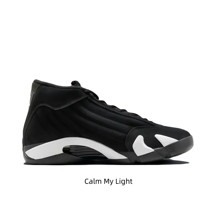 Collectible Sports Casual Footwear - Versatile Court-to-Street Shoe, Sneaker, Trainer for Modern Wearers