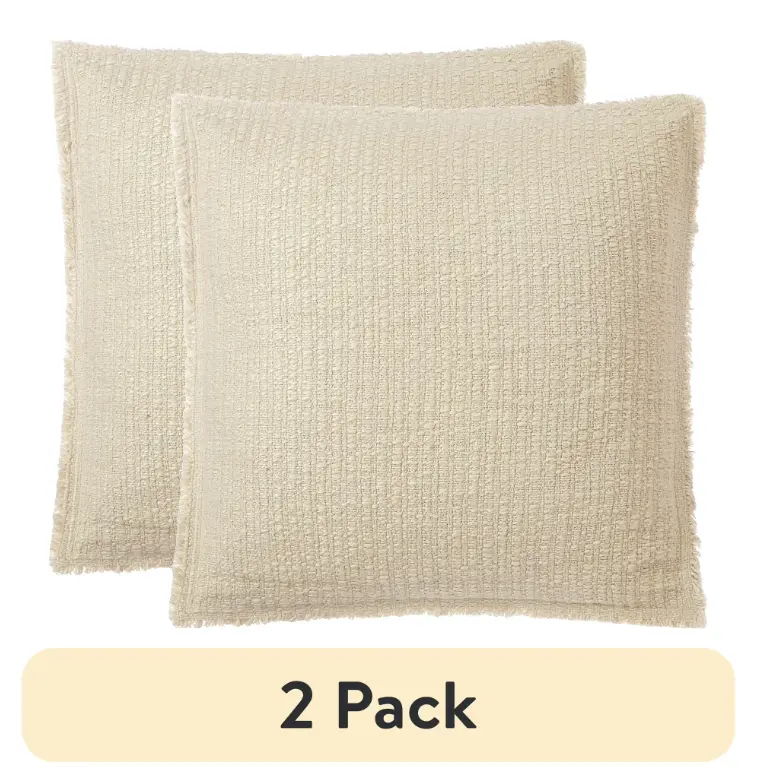 Set of 2 22x22 Papyrus Beige Sunny Decorative Throw Pillows for Sofa Home Decor