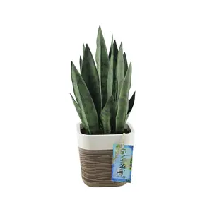 GreenShip 17 inch Artificial Snake Plant with Decorative Two-Tone Pot, Faux Potted Plants for Indoor Home Office Decor, Realistic Fake Plant Decor