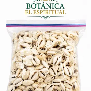 Caracoles de Santo Collectible Cultural Art Print
