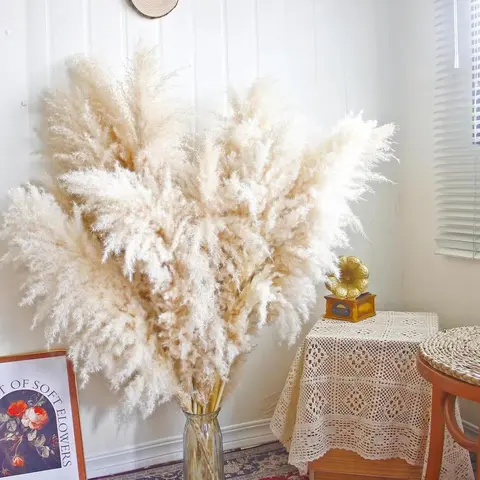 NurtureFlora 20 stems 45inch Dried High Pampas Grass,Wedding decorations, Party decorations, Handmade Crafts Decorative Flowers for DIY Floral, Home & Wedding Decoration
