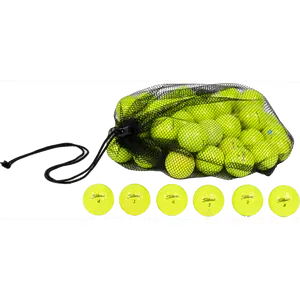48 Titleist Pro V1x, AVX Yellow Golf Ball Mesh Bag Mix