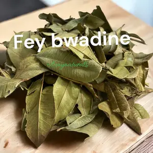 Fèy Bwadine /boidine (Pimenta racemosa)