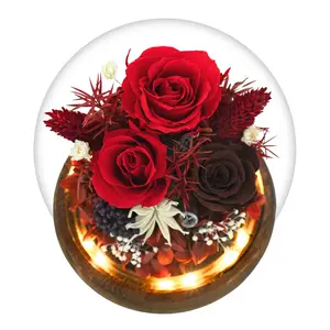 Romance Promises | Glass Dome Forever Red Box Decor