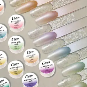 Easy-To-Use Nail Art Kit, 10-Piece Silk Aurora Gel Set, Perfect for Lazy Nails, Includes Sponge Applicator, Long-Lasting & Fade-Resistant