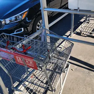 Bent Shopping Cart - Portable and Foldable