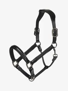 Lemieux Patent Leather Headcollar
