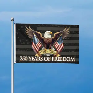 Double-sided American Flag 3x5 FT Heavy Duty Double Sided 3-Ply, UV Protection & Fade Resistant Outdoor US Flag, Reinforced Brass Grommets, Patriotic Decor for 250th Anniversary Celebration, Home Garden Yard