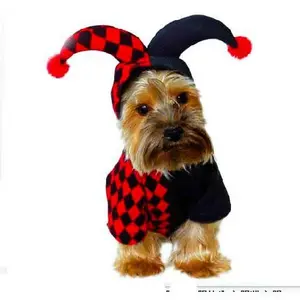 Halloween Jester Pet Costume