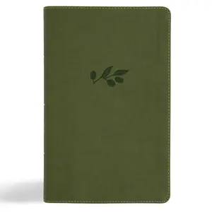 USED-NASB Single-Column Personal Size Bible, Olive Leathertouch by Holman Bible Publishers (Imitation Leather)