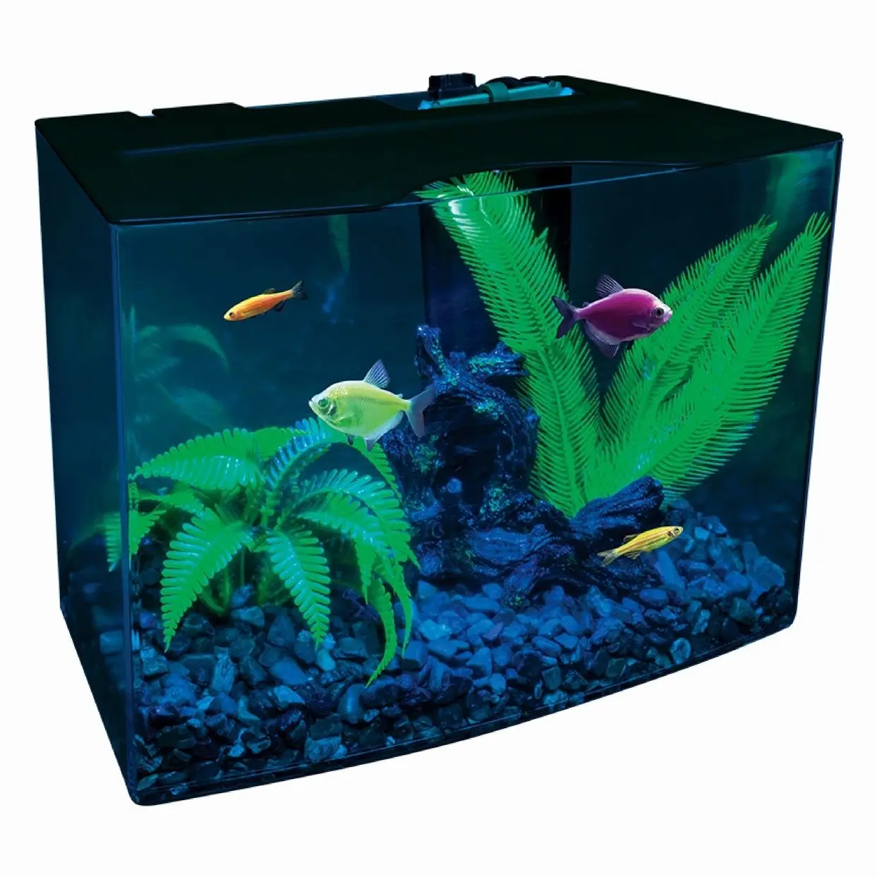Aquarium Kit 3 Gallons, Includes Hidden Blue LED Light and Internal Filter