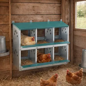 Chicken Nesting Box, 6 Room Metal Nesting Boxes for Chicken,Galvanized steel Nesting Boxes for Hens,Easy to Assemble   WL