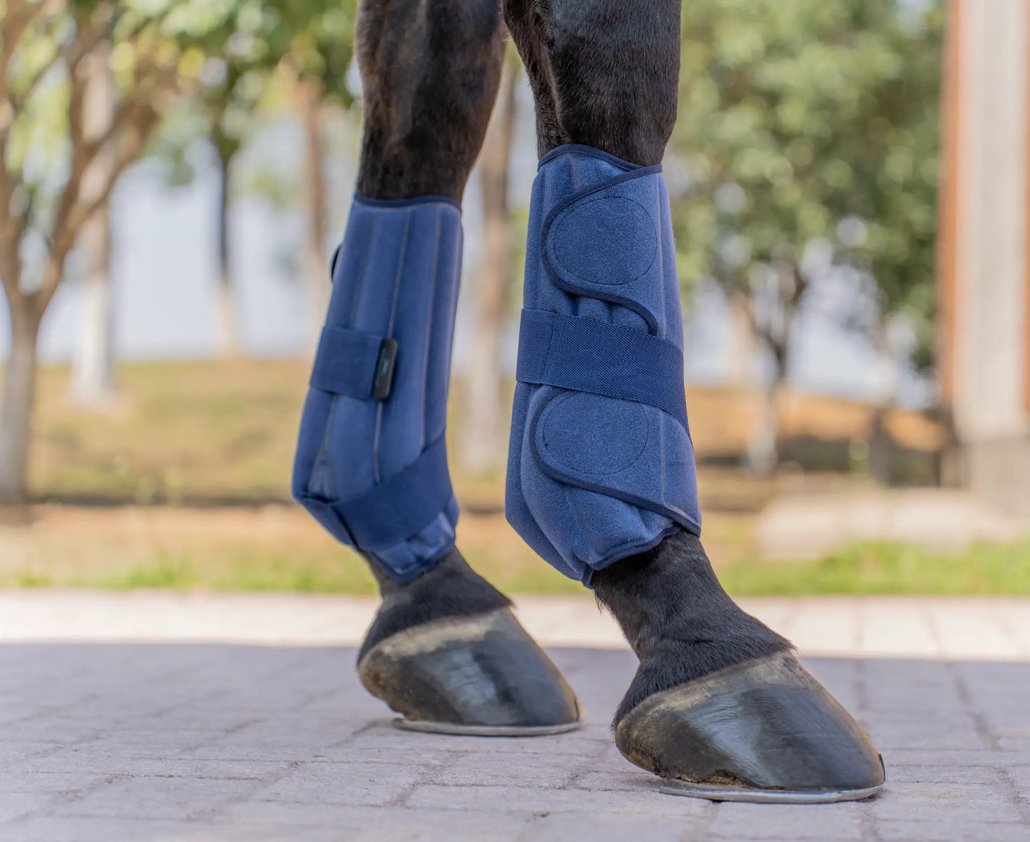 Horselink Horse Front Leg Ice Therapy Wraps, Reusable Cooling Compression Boots for Post-Exercise Recovery