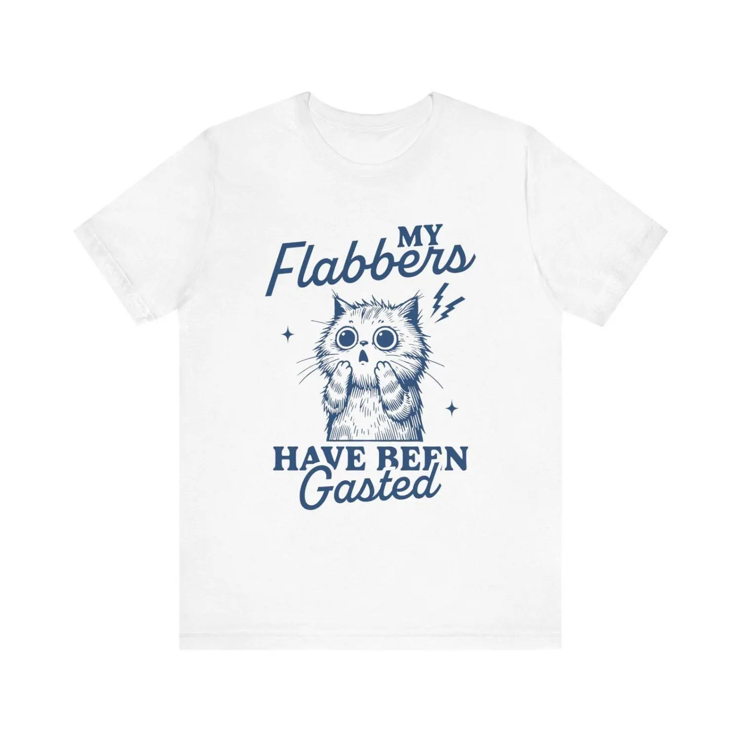 Hilarious Shocked Cat TShirt Featuring My Flabbers Have Been Gasted