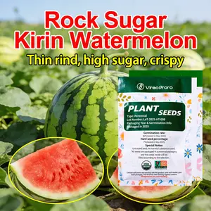 Easy-to-Grow Watermelon Seeds | High Germination | Home Garden Fun”