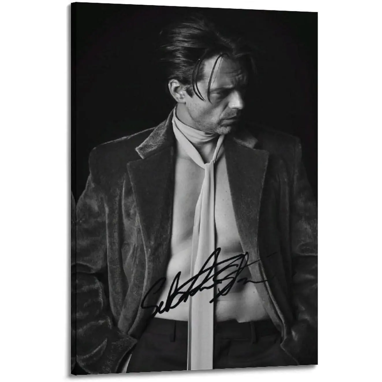 Sebastian Stan Signed Photo Canvas Wall Art Prints - Frame-Style Posters with Photorealism, Modern Wall Decor Artwork, Ideal Gift for Home Supplies Enthusiasts, Sign Photo