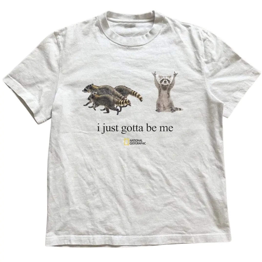 Raccoon “I just gotta be me” T-Shirt, Animal Tee, Gifts Shirt, Unisex Vintage Graphic Tees Gothic Grunge Y2k Emo Scene Amity Affliction Style Clothes Men Women Streetwear