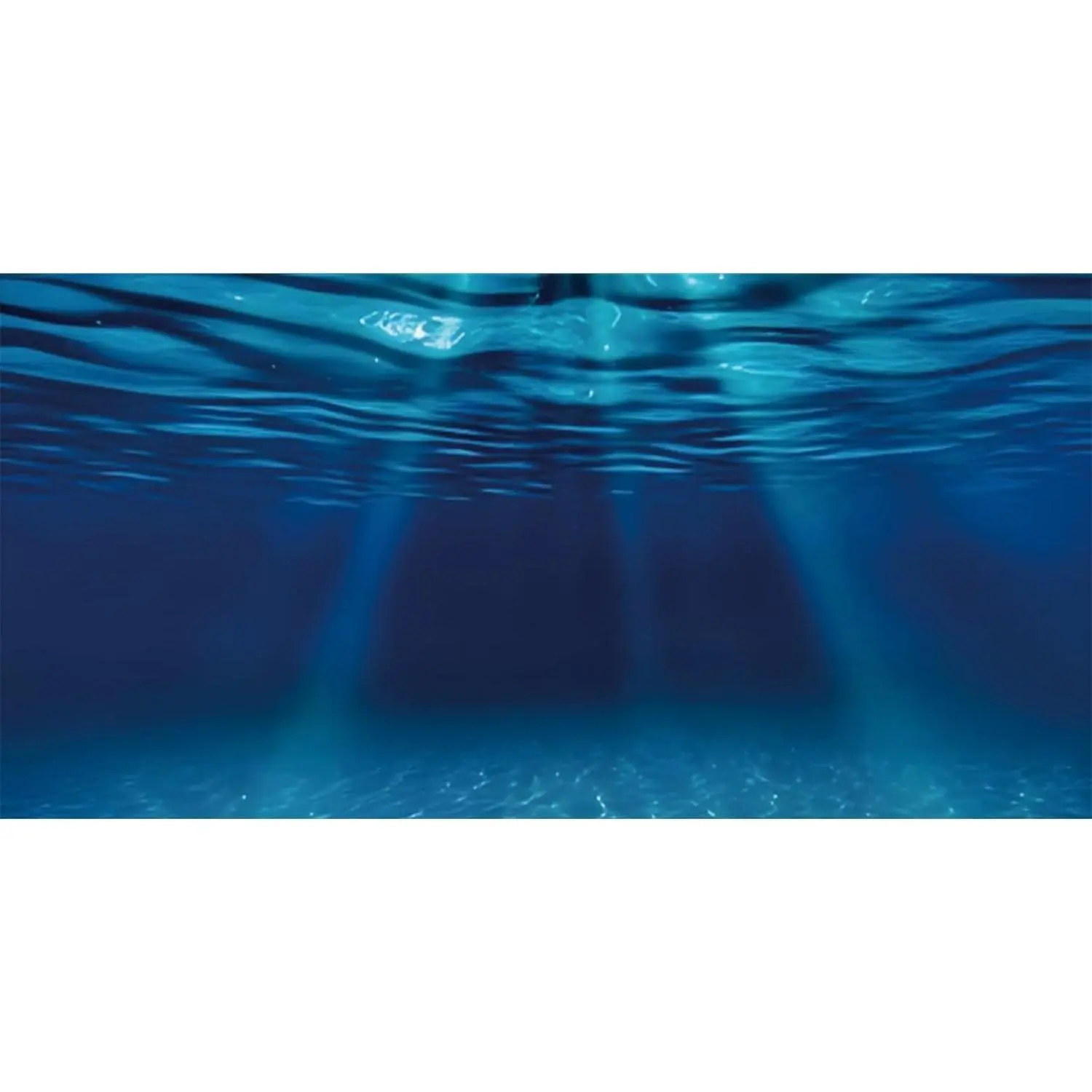 72x24 inches Ocean Floor Aquarium Background Undersea Theme Underwater Fish Tank Background
