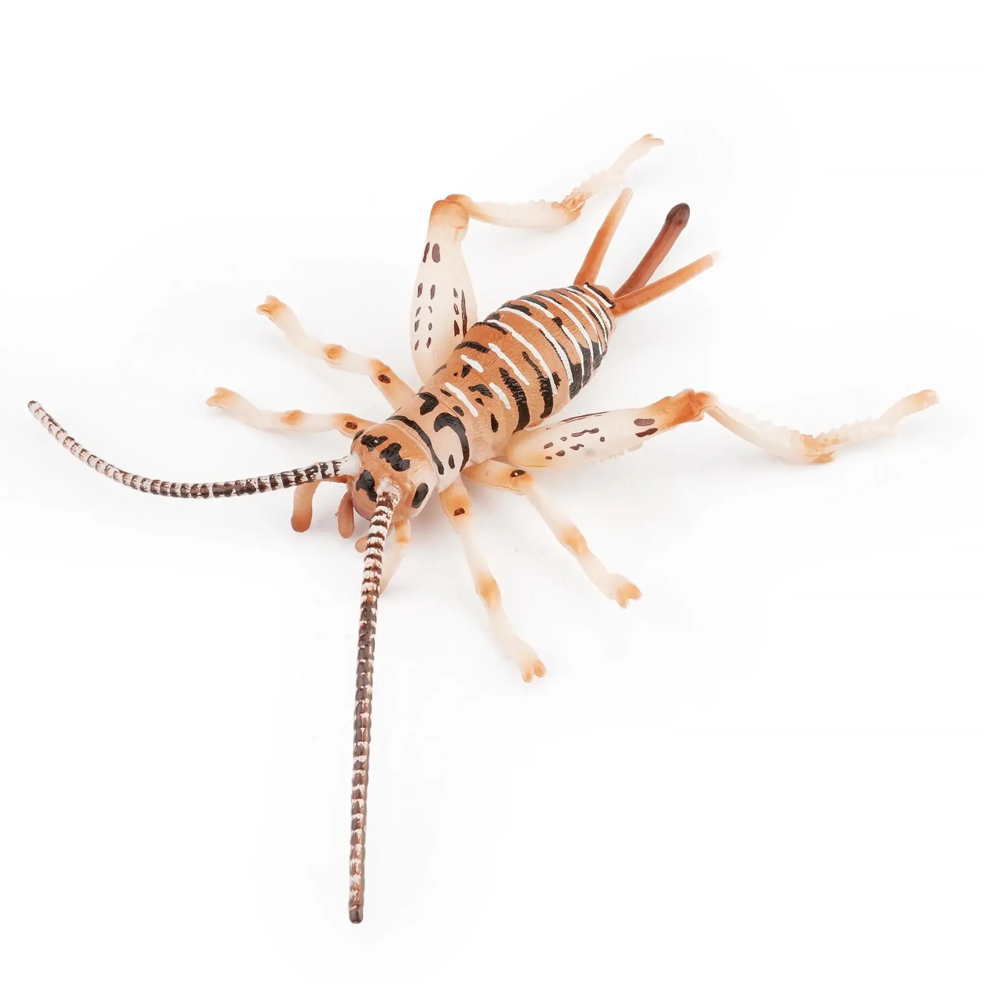 Toymany Hand-Painted Plastic Cricket Figurine - Realistic Insect Toy Model, Ideal for Early Education & Montessori Sensory Play, Decor & Thoughtful Collectible Gift for Enthusiasts