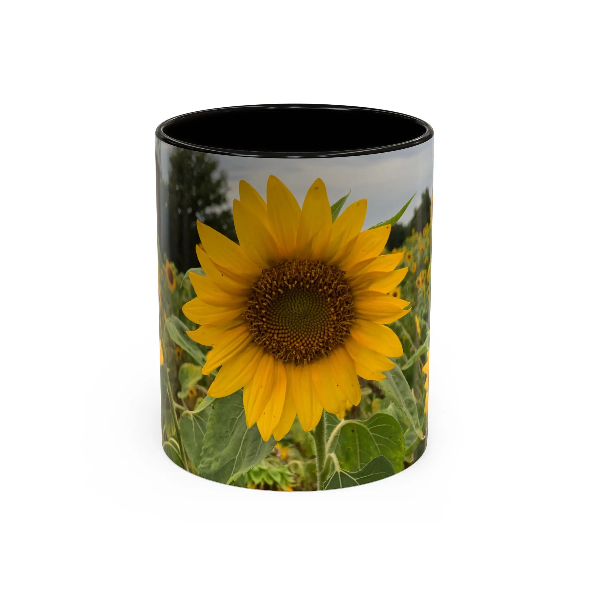 Colorful Mugs (11oz)
