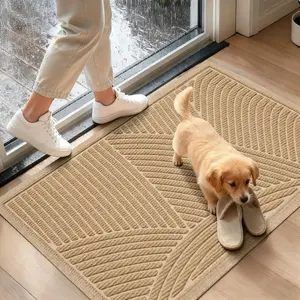 Sturdy Front Door Mat, Absorbent Dirt Resist Welcome Door Mats Indoor, Fade Resistant, Non-Slip Backing Mat Low Doormat for Entryway, 29*17, Beige