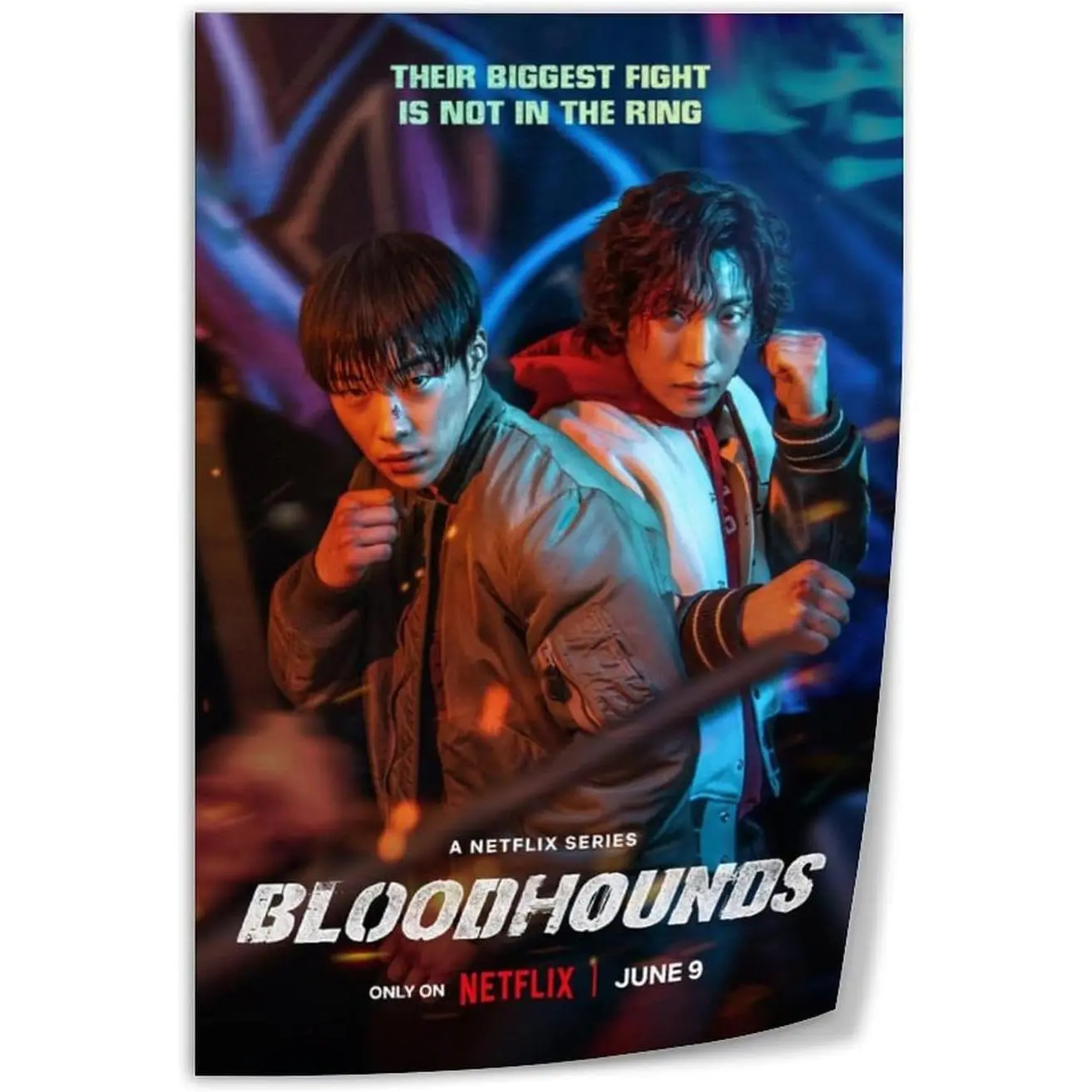 Korean TV Series Bloodhounds Hi-Resolution Artwork Cover Poster, Unframed Canvas Print with Quality Printing, 12x18in (30x45cm) Home Decor for Living Room