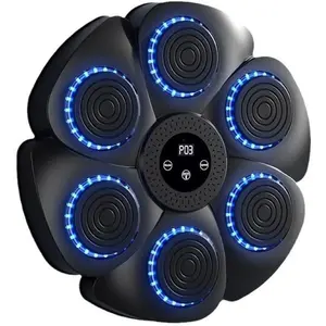 Electronic Boxing Music Workout Machine,Smart Boxing Machine with Gloves ,Wall Mounted Boxing Wall Target Training Punching Equipment, for Children and Adults, Wall Punching Bag For Home Exercise