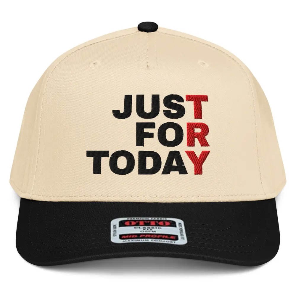 NX1 Just for Today - Try 2 Tone Hat Embroidered Mid Crown Curved Bill Snapback Cap Sobriety Anniversary Sober Recovery