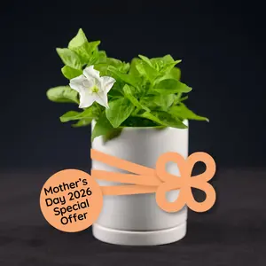 Mother's Day Special: Light Bio Firefly Petunia with Ceramic Pot and Digital Card