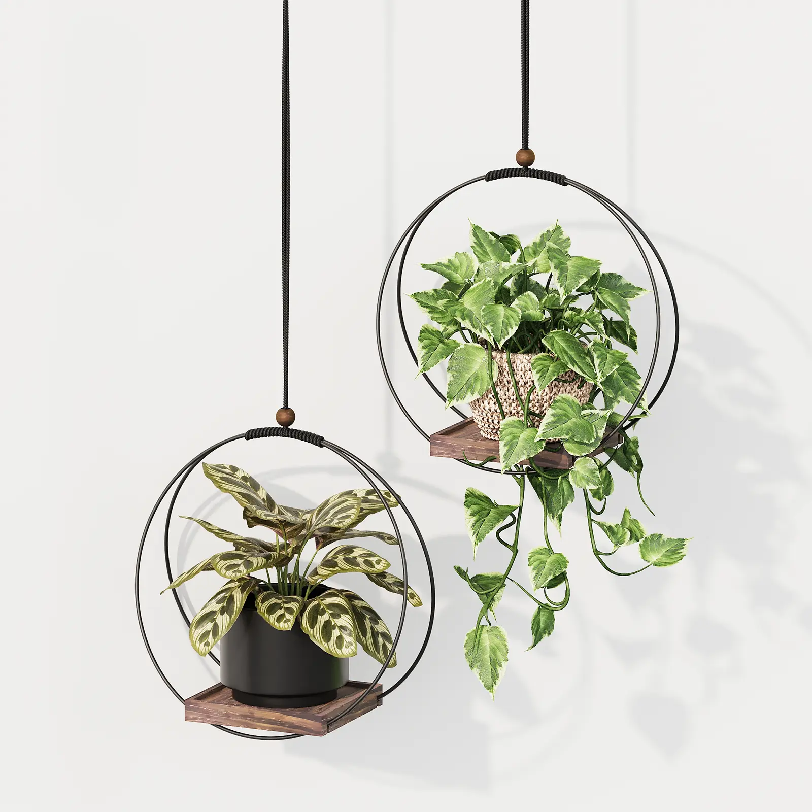 Bamworld 2-Pack Boho Macrame Hanging Planter Baskets - Round Planters with Sturdy Wood Base, 2 Hooks, Indoor Decor Holder for Ceiling/Wall, Gift for Plant Lovers, Hanging Baskets, Round Planter