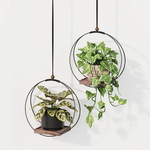 Bamworld 2-Pack Boho Macrame Hanging Baskets - Round Planter with Sturdy Wood-Metal Base, 2 Hooks, Resists Bending, Ceiling/Wall Aesthetic Home Decor, Gift for Plant Lovers