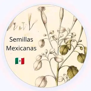 background preload poster image 