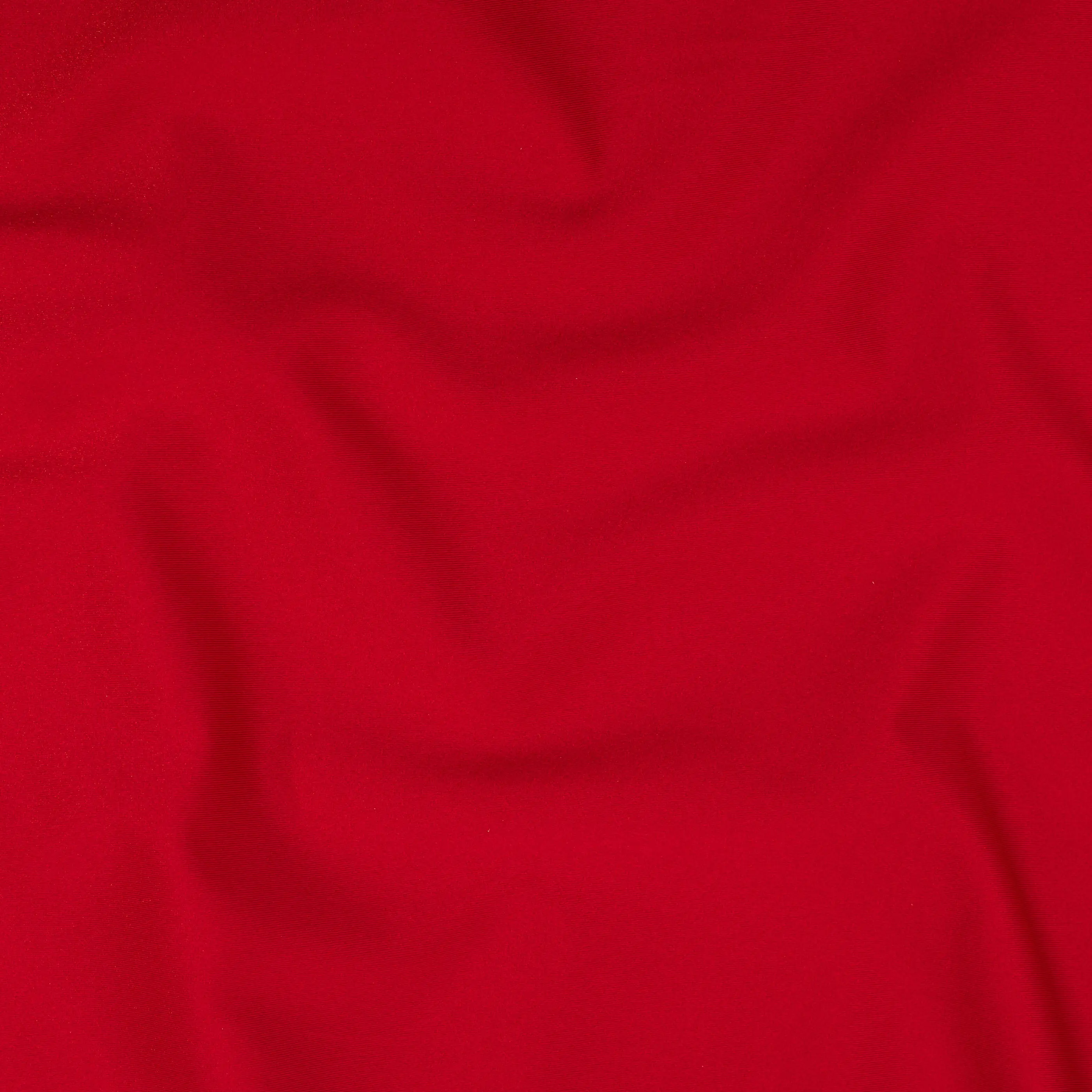 Shiny Solid Spandex Fabric - Elite Master Grade Stretch, High Flexibility for Costumes, Wrestling, Gymnastics, Swimwear, Dancewear | Spandex Palace, Activity