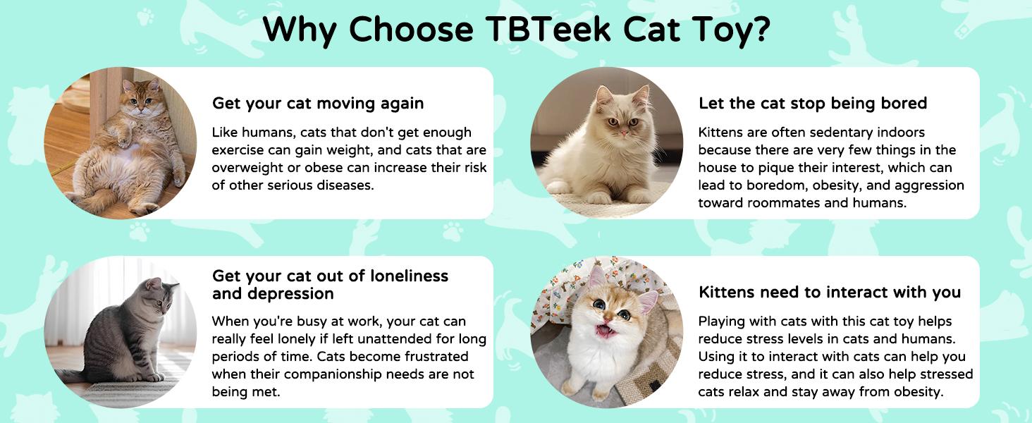 TBTeek Cat Toy, Battery Screen, Cute Fun Creative Body, Rechargeable, 7 Adjustable Patterns, Interactive Kitten Pet Dog Chase Toy for Fun Chase Play Exercise (1pcs)